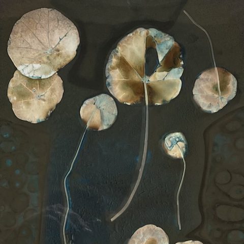 Laurie Beck Peterson